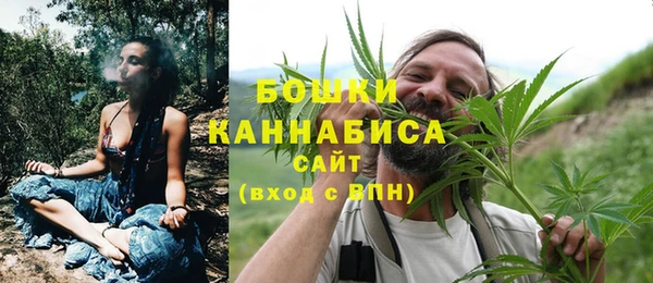 ГАЛЛЮЦИНОГЕННЫЕ ГРИБЫ Арсеньев