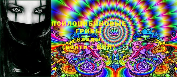 ГАЛЛЮЦИНОГЕННЫЕ ГРИБЫ Арсеньев