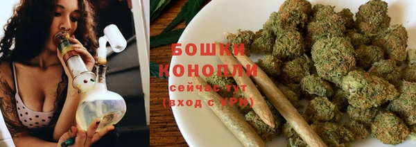 ГАЛЛЮЦИНОГЕННЫЕ ГРИБЫ Арсеньев