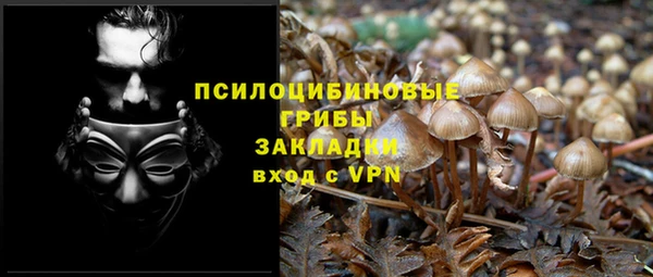 трава Аркадак